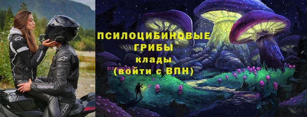 ГАЛЛЮЦИНОГЕННЫЕ ГРИБЫ Козельск