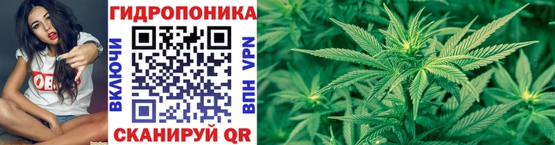 Каннабис OG Kush  Купить где  Николаевск-на-Амуре 